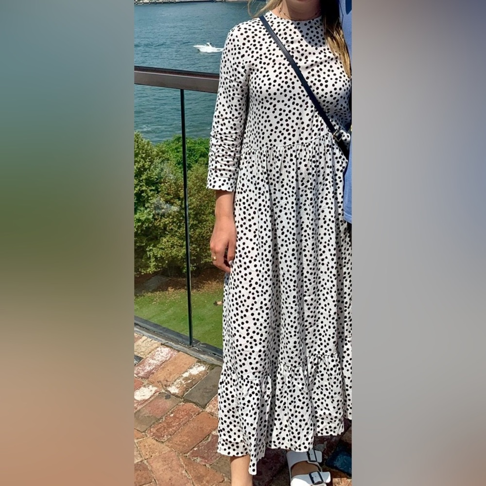 Zara Polka Dot Dress